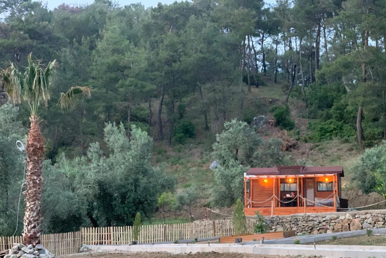 Hotel Tiny Mini House Dalaman Exterior foto